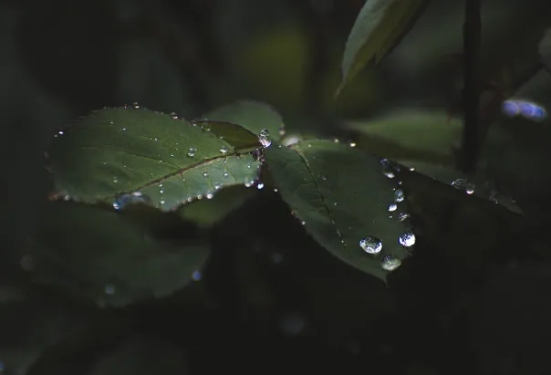 pyenv安装使用指南
